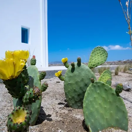 Lilly By Bestofmikonos Villa Ornos (Mykonos)